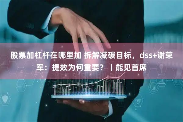 股票加杠杆在哪里加 拆解减碳目标，dss+谢荣军：提效为何重要？丨能见首席