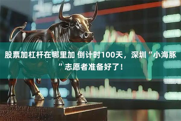 股票加杠杆在哪里加 倒计时100天，深圳“小海豚”志愿者准备好了！