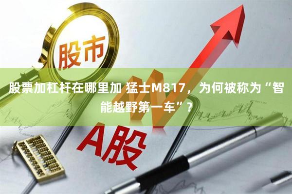 股票加杠杆在哪里加 猛士M817，为何被称为“智能越野第一车”？