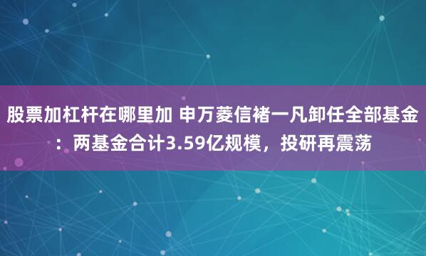 股票加杠杆在哪里加 申万菱信褚一凡卸任全部基金：两基金合计3.59亿规模，投研再震荡