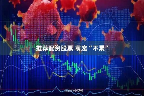 推荐配资股票 萌宠“不累”